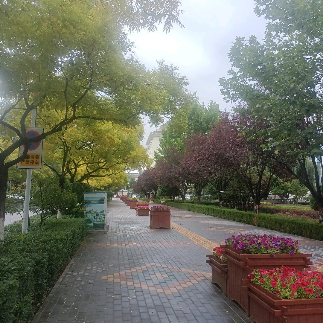 一杯浊酒敬余生