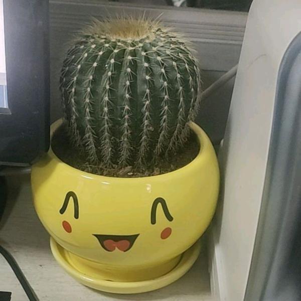 一万个理由