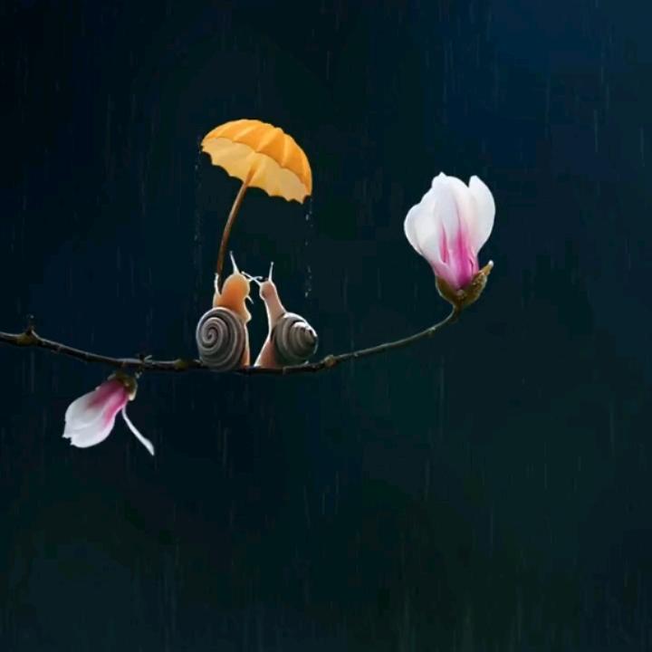 余家风范