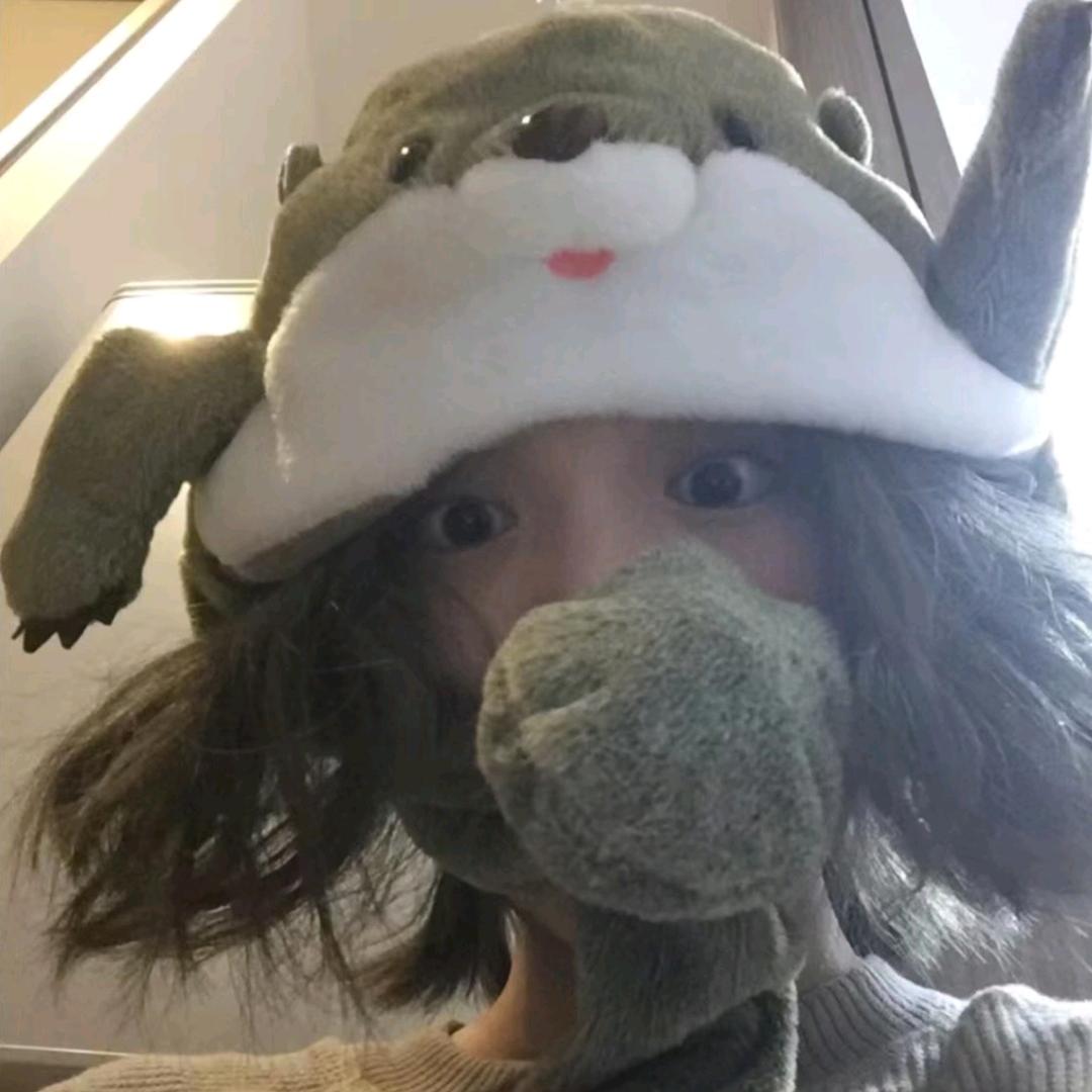 QZz喵🐱