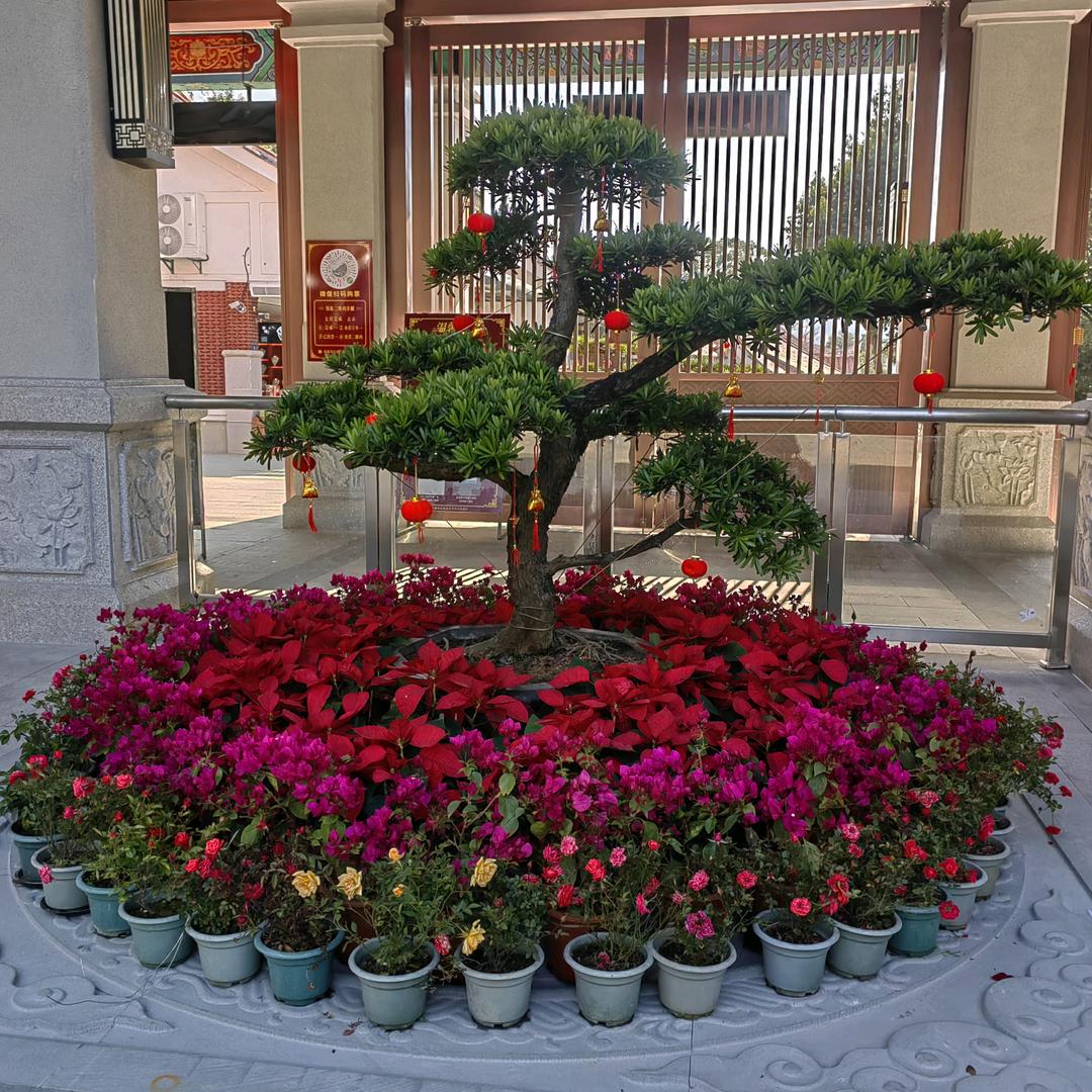 善芸好物优选
