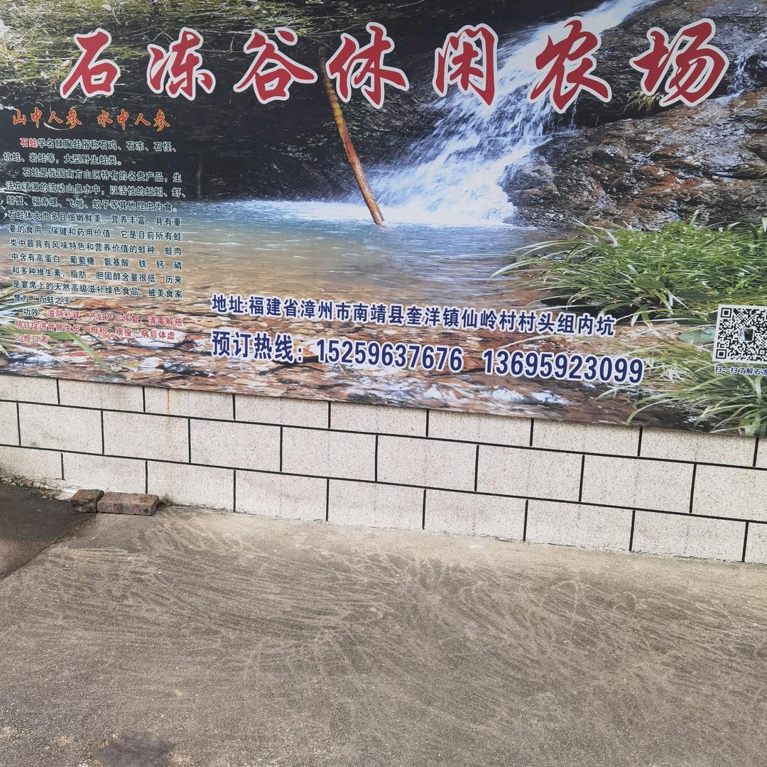 ⛰️南靖奎洋石冻谷休闲农场生态养殖吃玩住