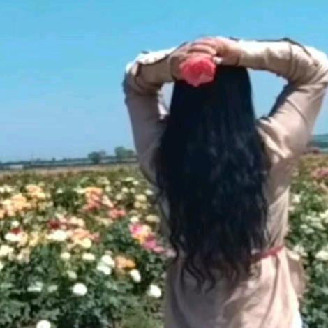 七零姐（厨窗🔥）