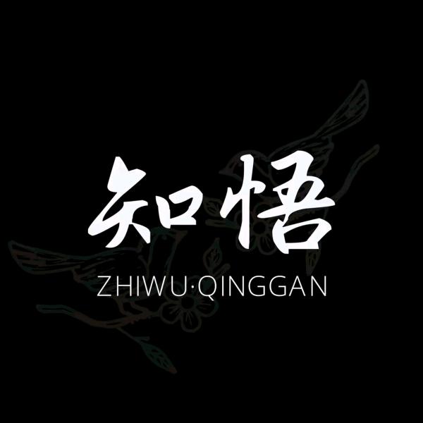 壹蓑烟雨任平生
