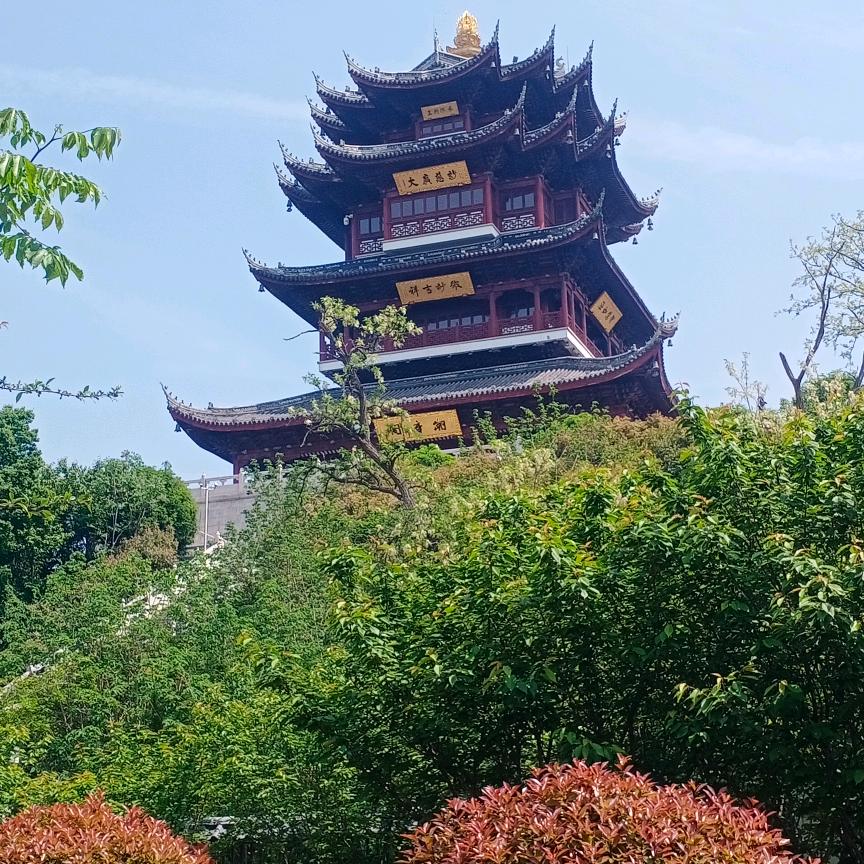 坚强