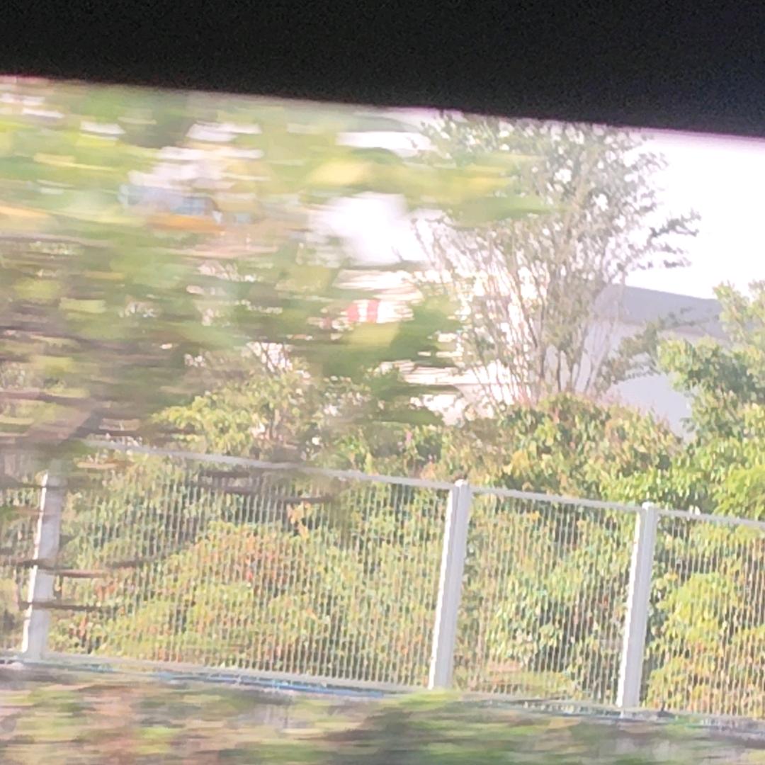 独霸天下³¹⁹¹