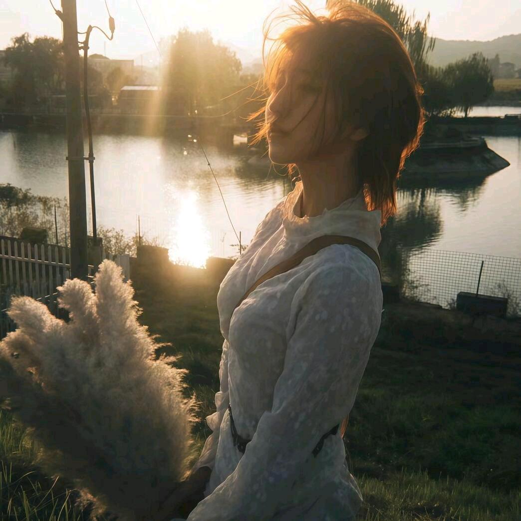 木槿花.