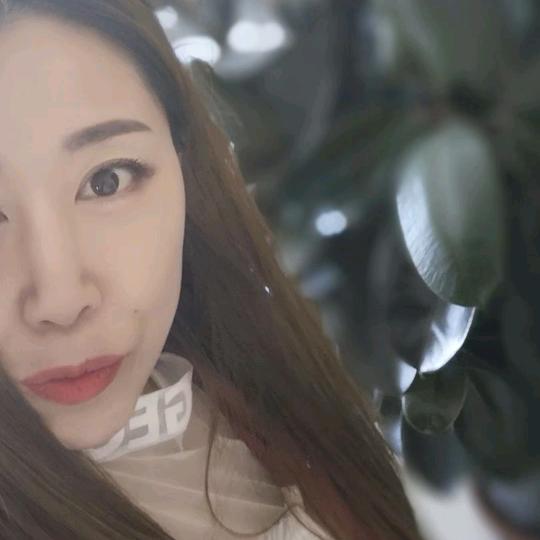 巷子中的猫