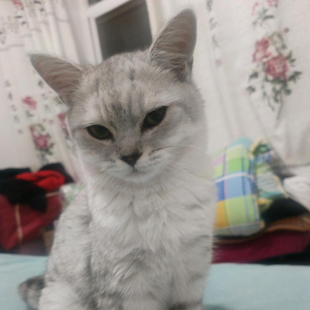 随意55695