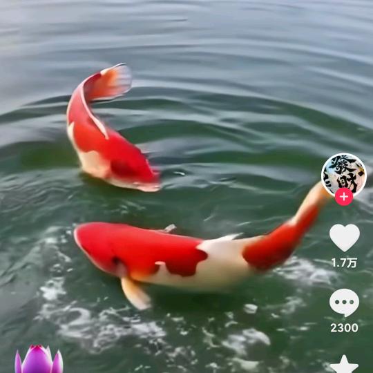 百味人生