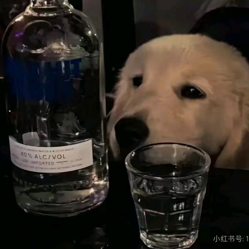 鬼玺