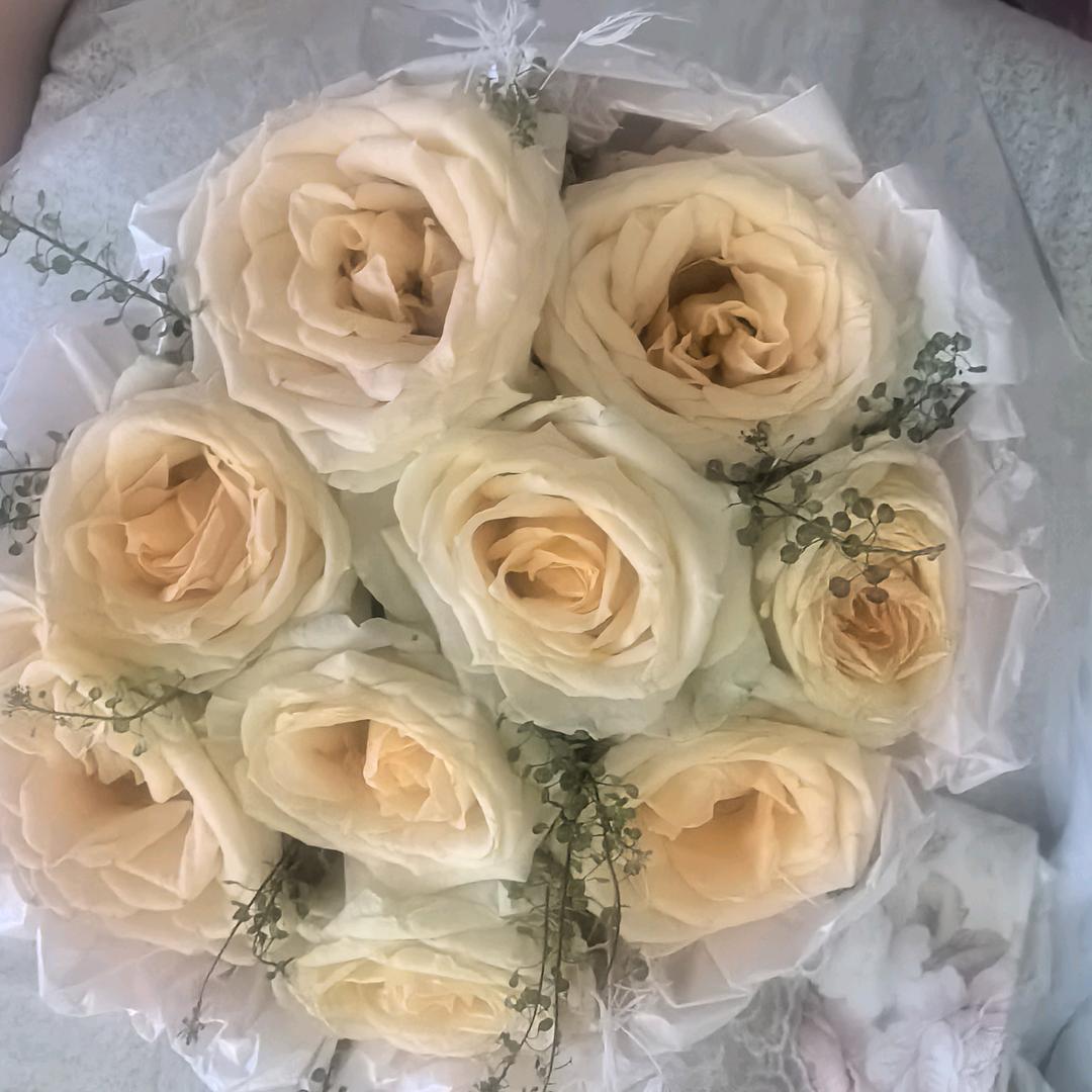 憨憨🌻