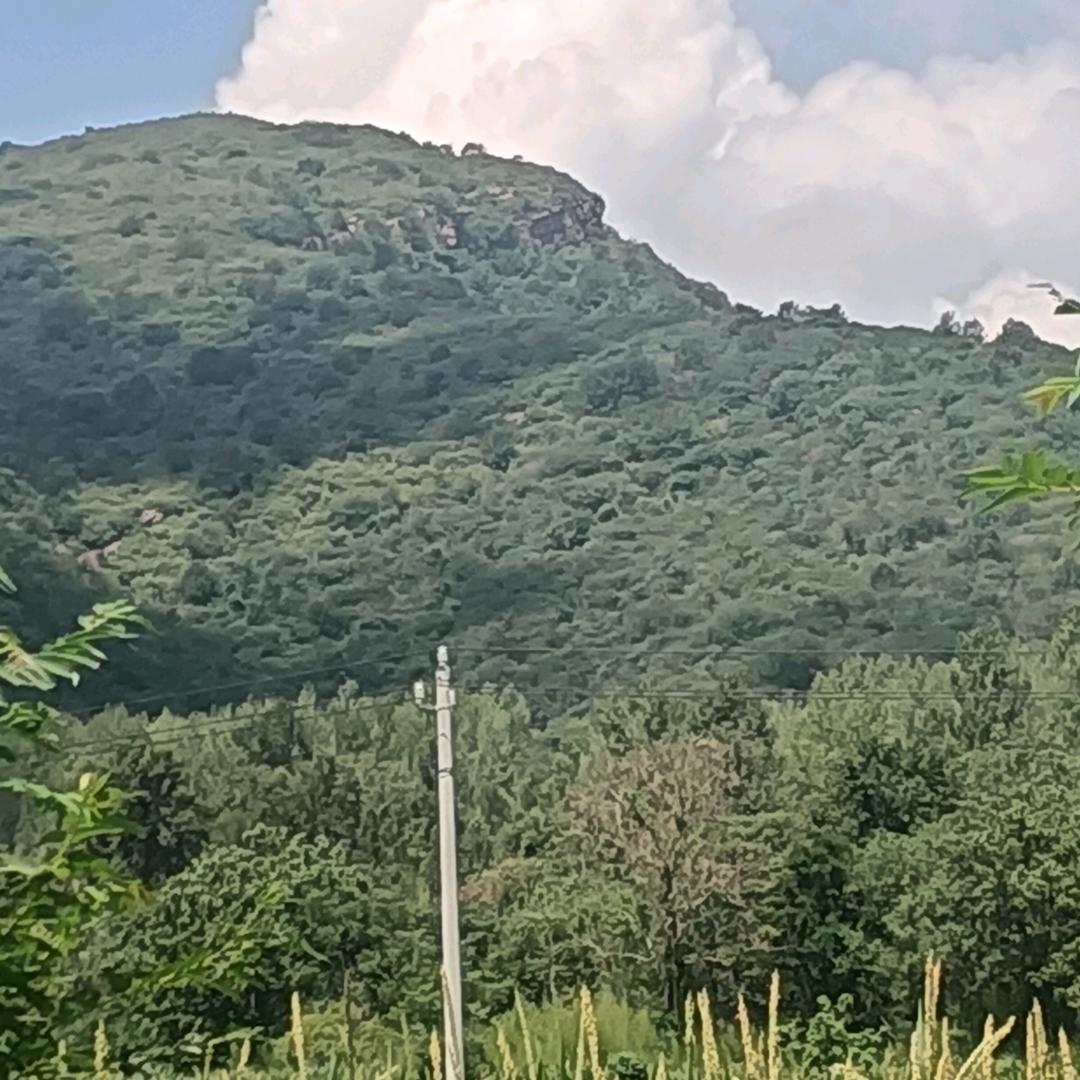 美丽的乡村