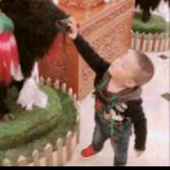 💞开开心心过日子💋