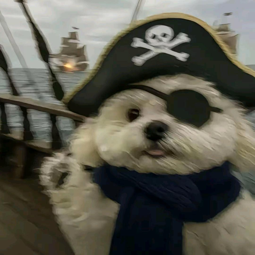 COCO～