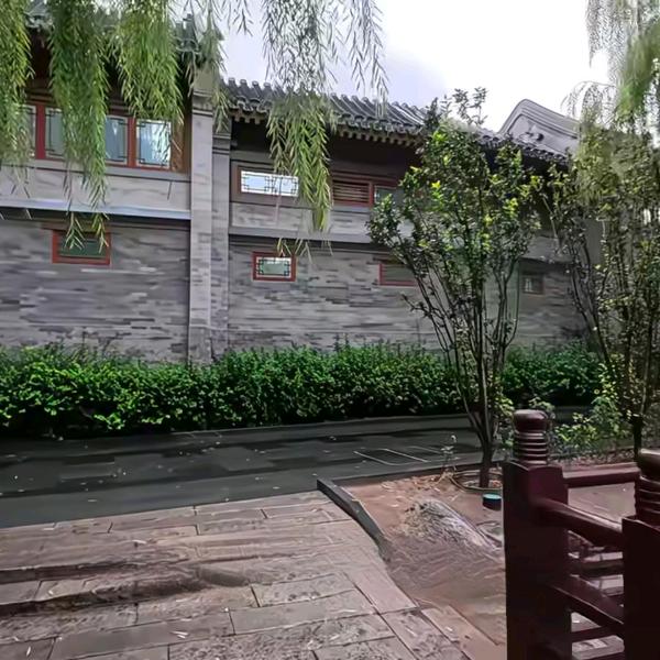 旭日东升