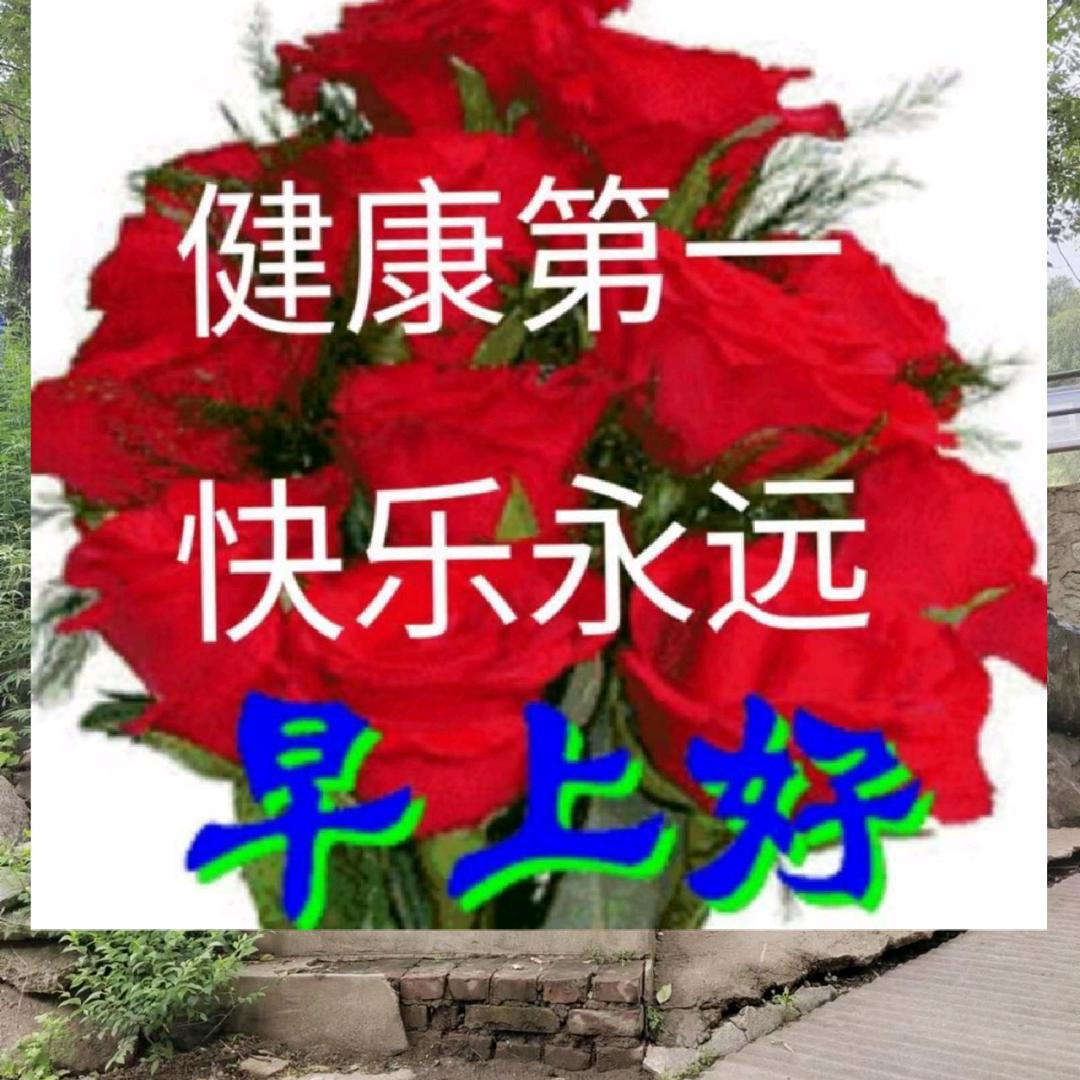 走自己的路，看自己的风景