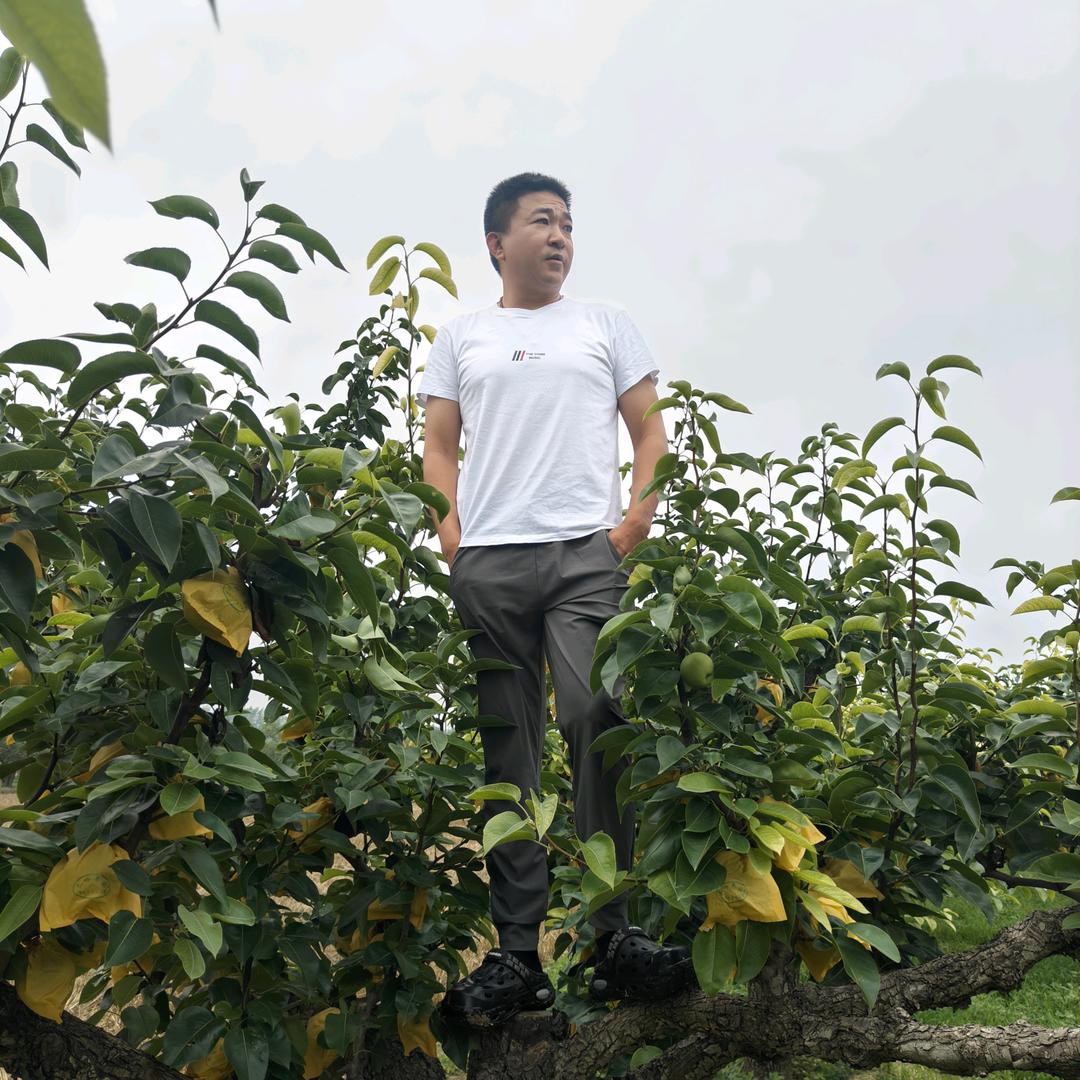 小董水果生鲜