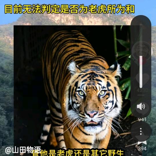 《～湖、北、阿、奎~》616