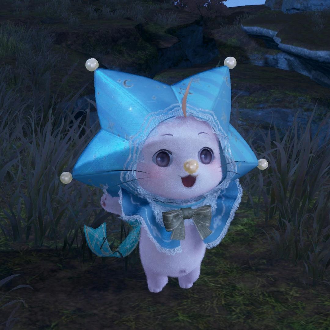 🈚️🈚️🈚️