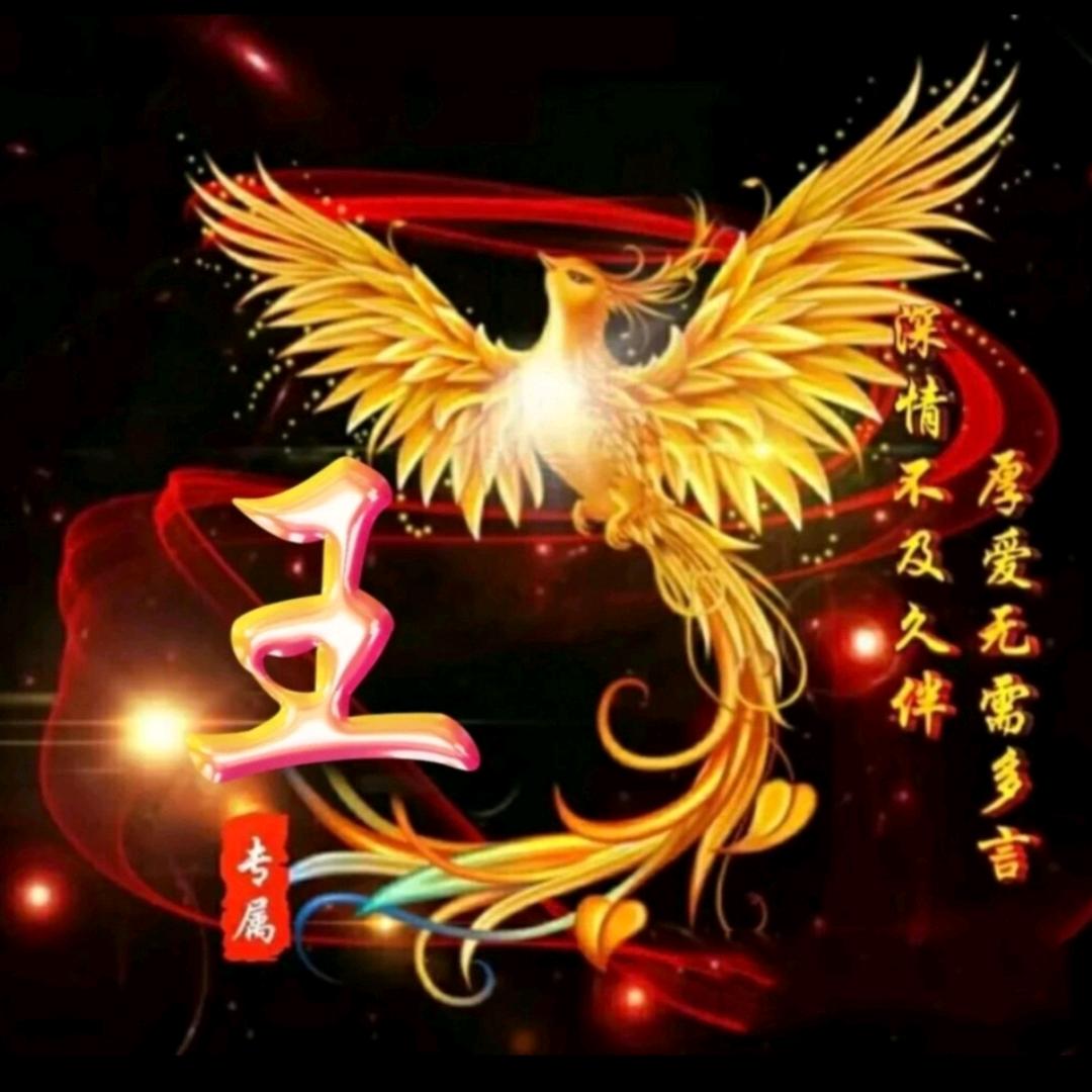 🌊🐉王🍁哪🍁跑🐉🌊