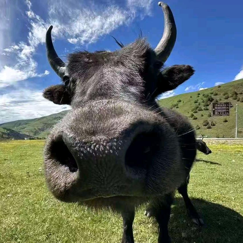 一丢丢˵¯͒〰¯͒˵