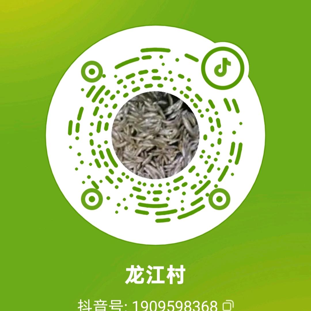 龙江村