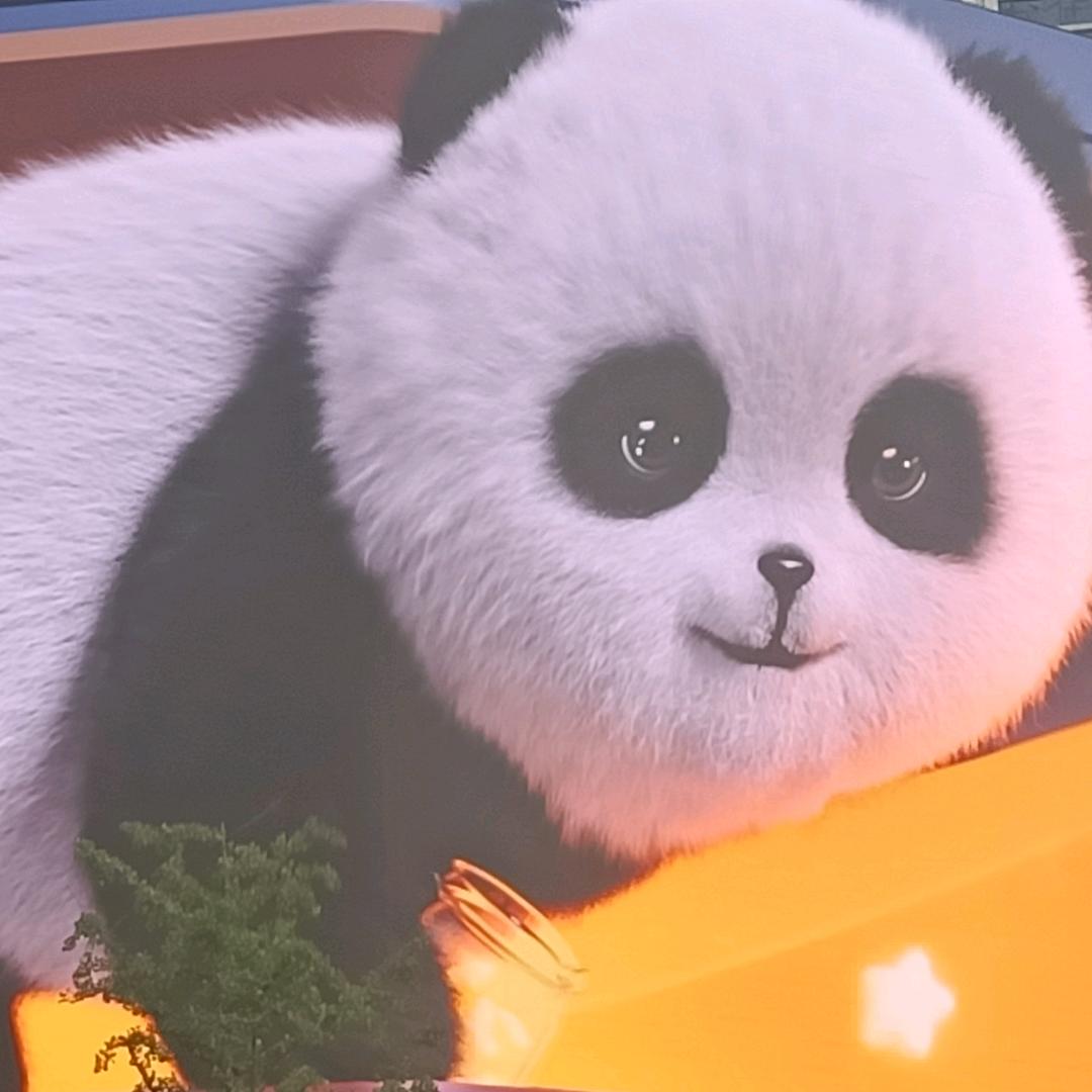 🇨🇳本本🇨🇳
