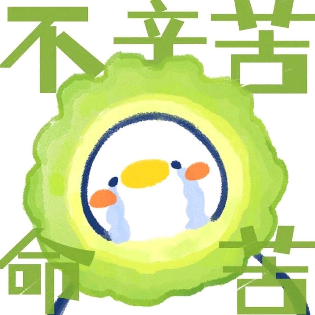 爱吃苦瓜～