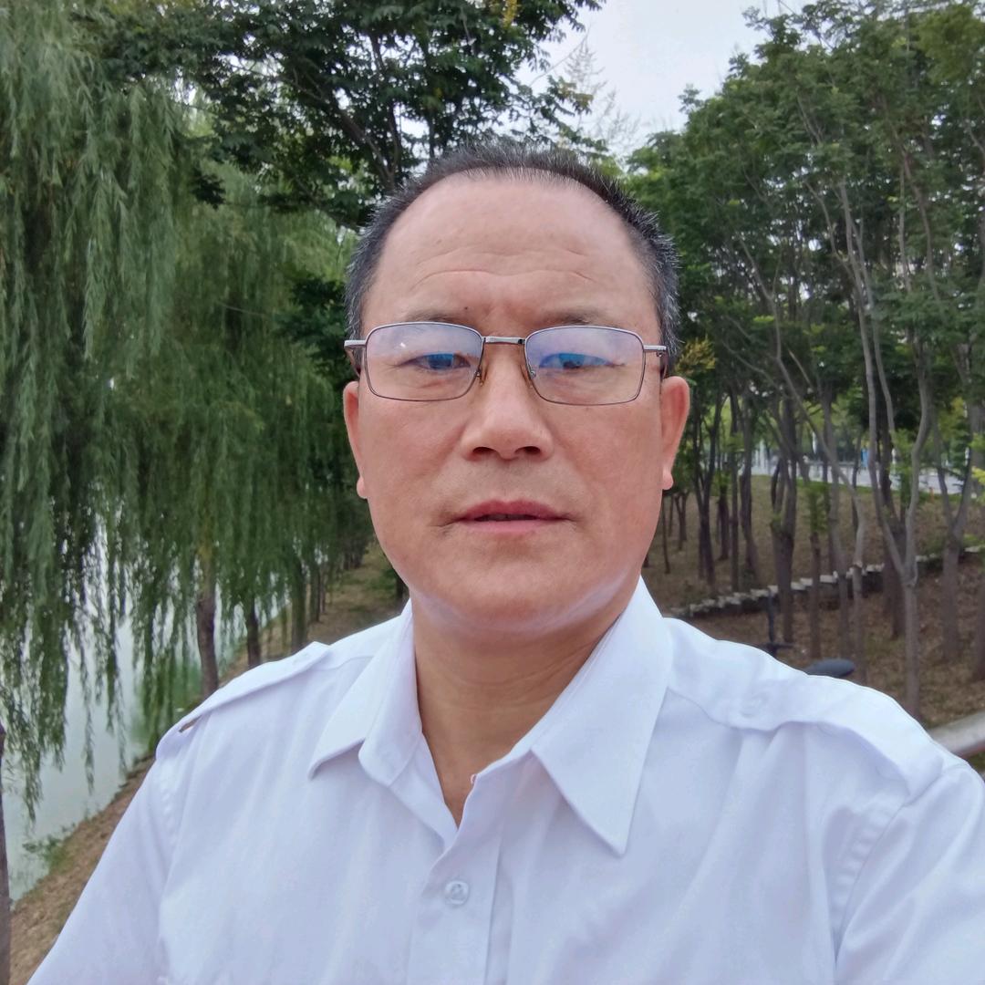 大蜜蜂（早上6：30开播）