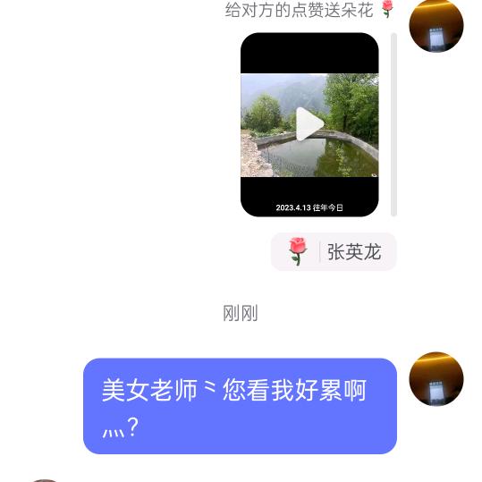 张英龙