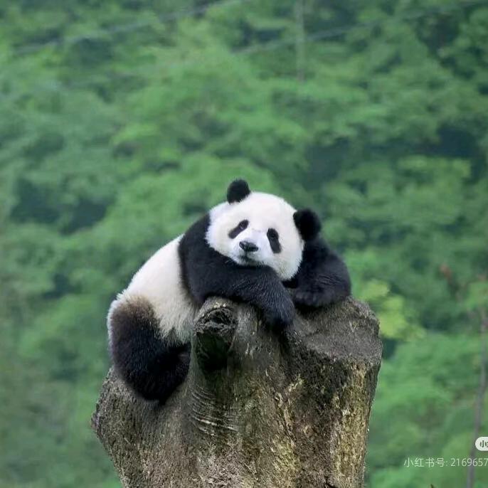 ୧( ⁼̴̶̤̀ω⁼̴̶̤́ )૭→