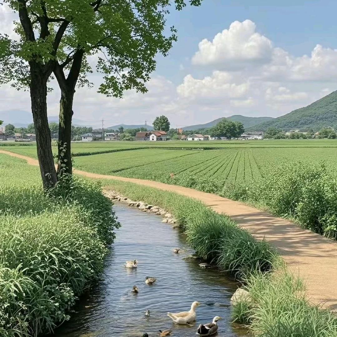 晴天阴天下雨天