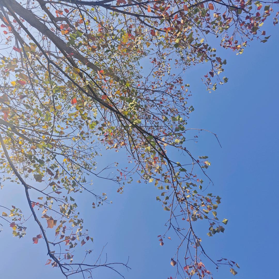 问道