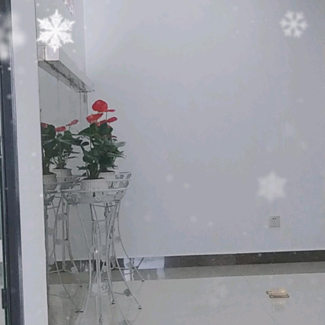 请叫我雪姐