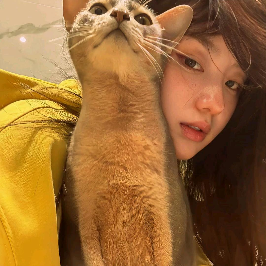 脸 脸