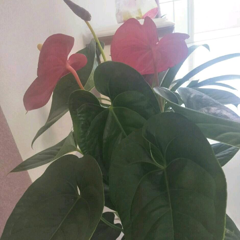 春华秋实。