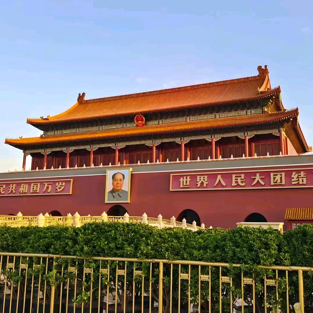 金霖启航
