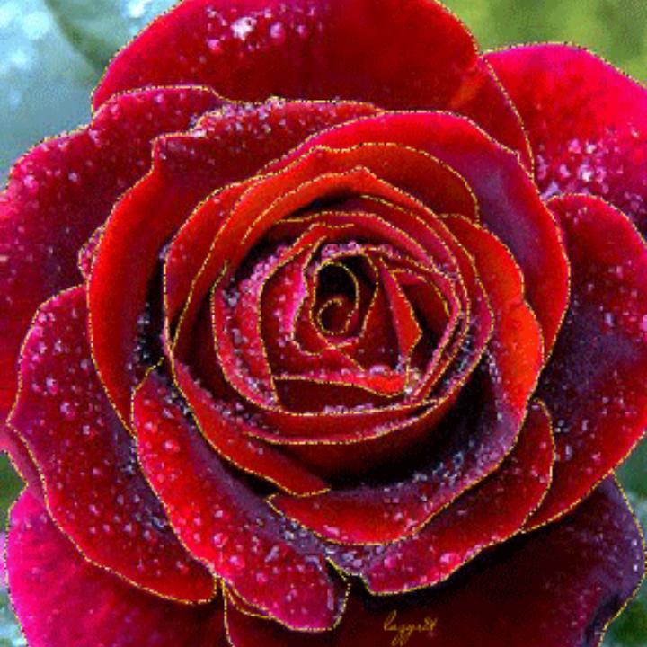 (⁄ ⁄•⁄ω⁄•⁄ ⁄)