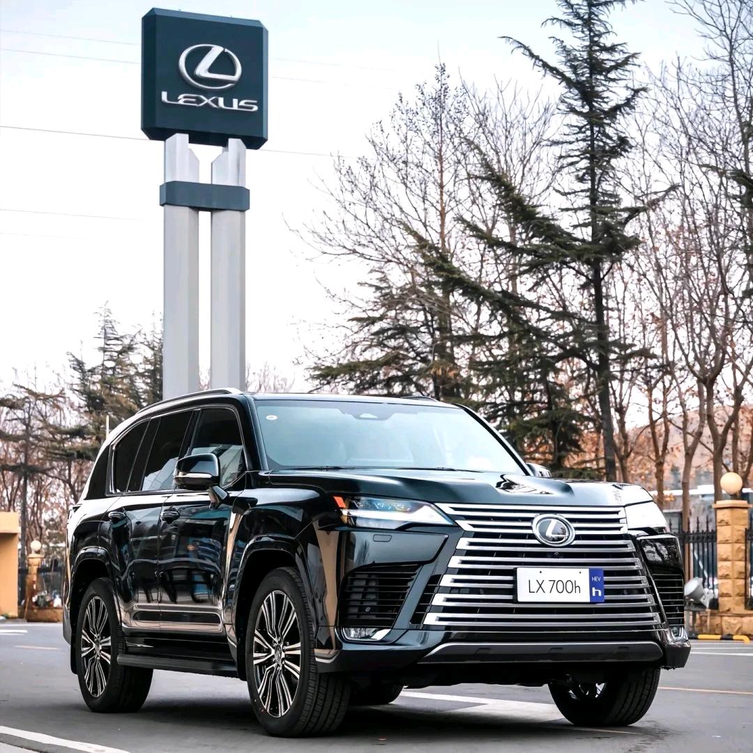 LEXUS石家庄