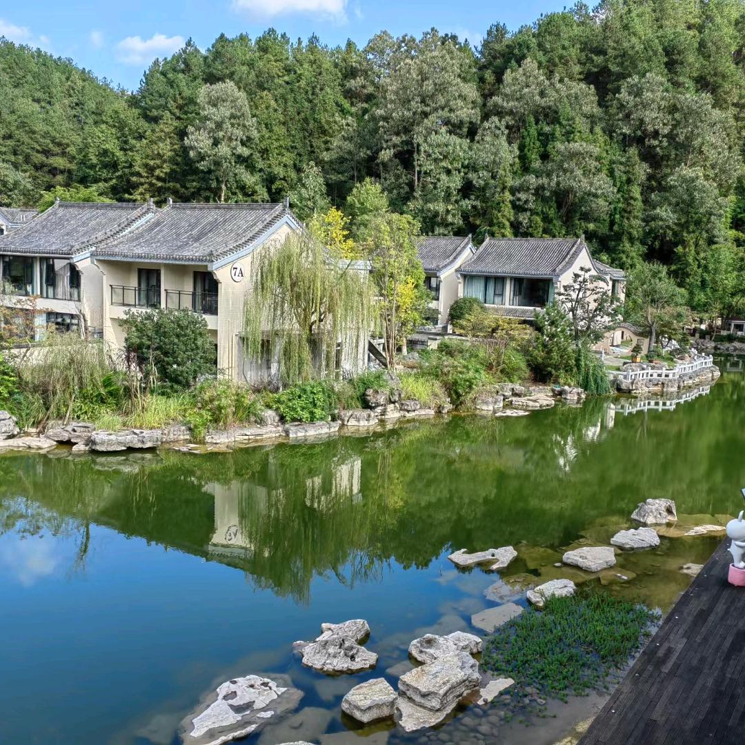 茅风味酱香白酒屋