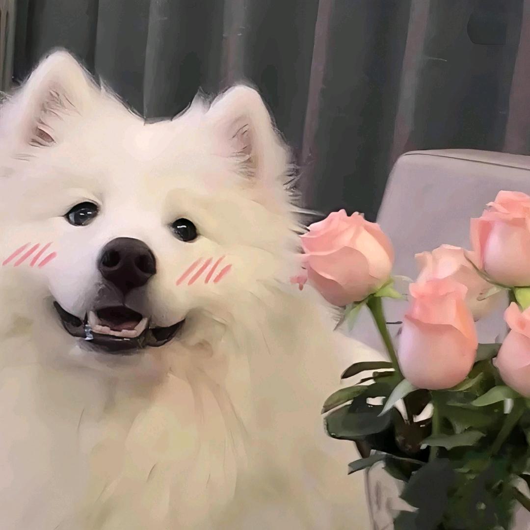 一只发财汪