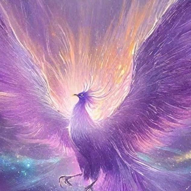 神秘观众♛♛♛♛♛♛♛♛