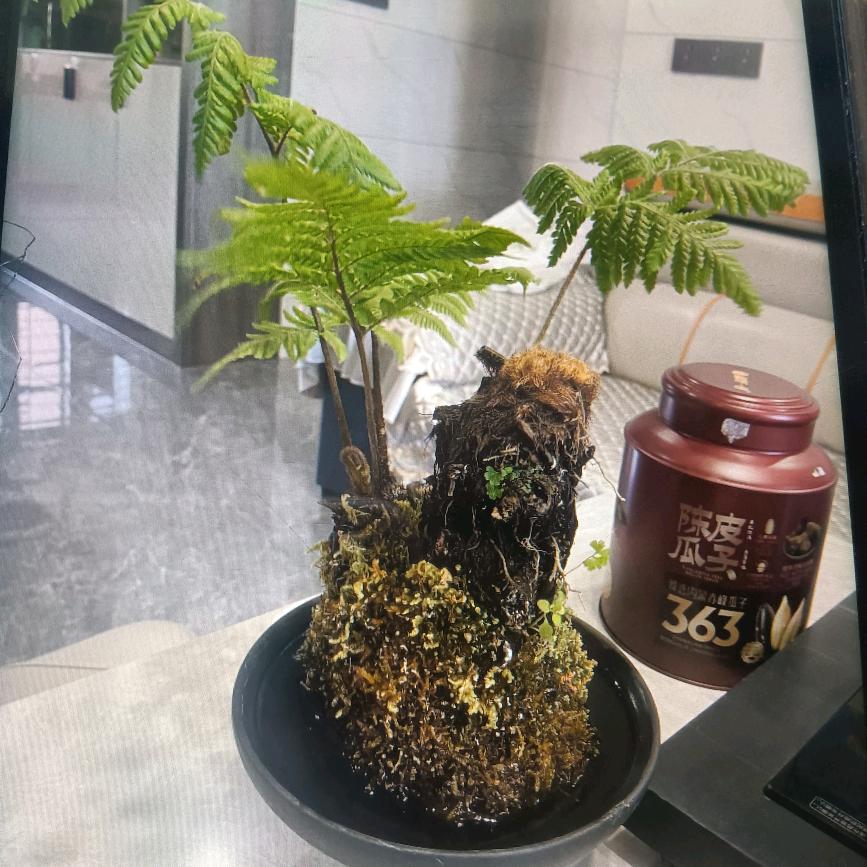 悠悠小卖部