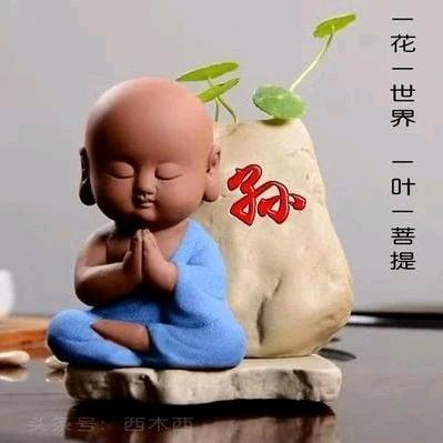 和其光同其尘