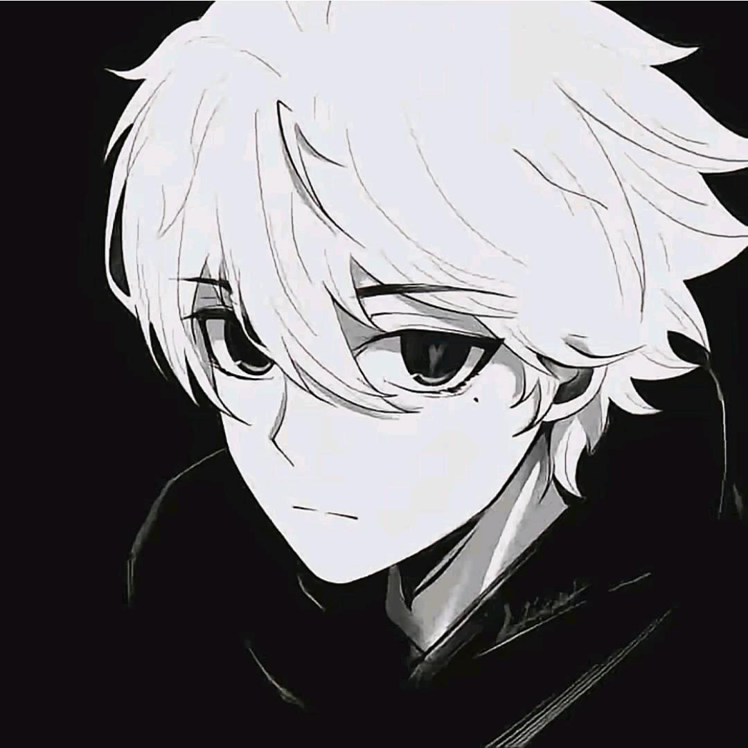 小泽（直播号）