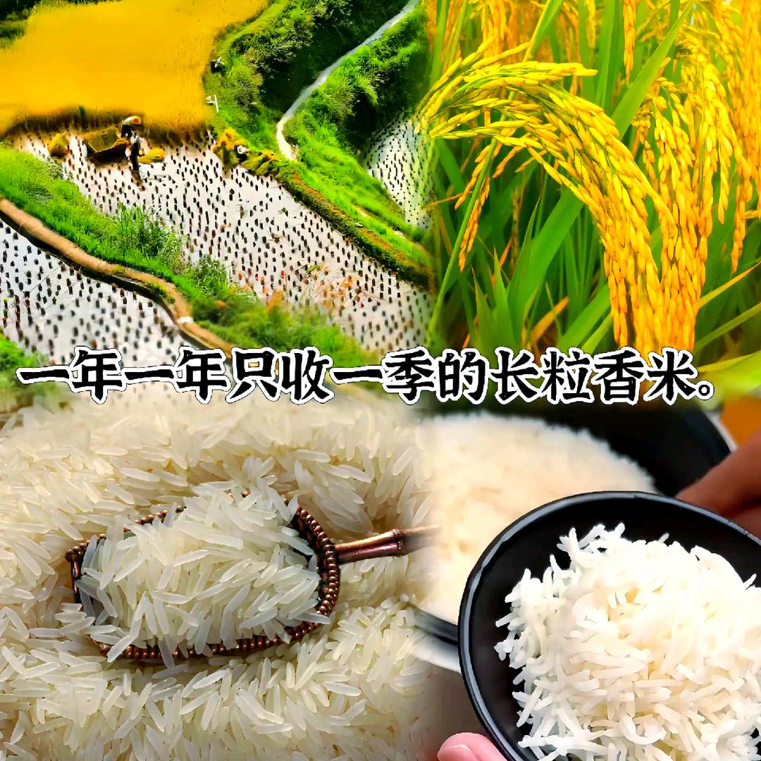 猫牙米小铺