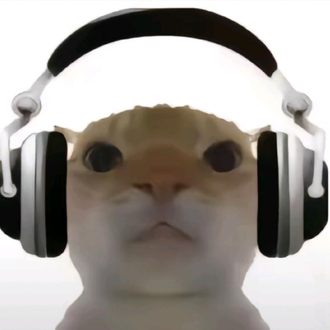 芒果猫
