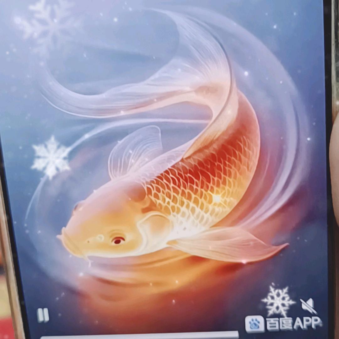 百乐廷商行爆爆