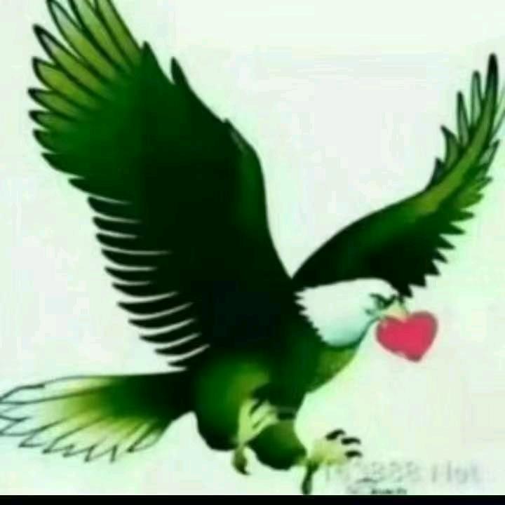 艾合麦提托合提